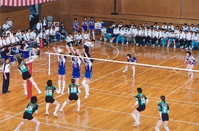 Vリーグ